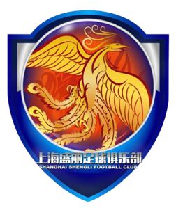 上海盛丽女足B队logo