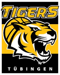 图寅根雷达虎logo