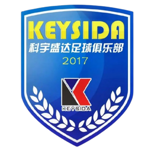 深圳科宇盛達logo