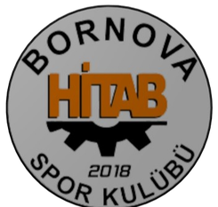 希塔布斯波尔女足logo