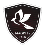 布鲁诺斯喜鹊logo