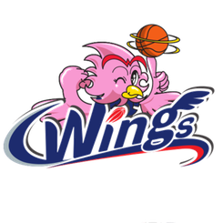 爱信飞翼女篮logo