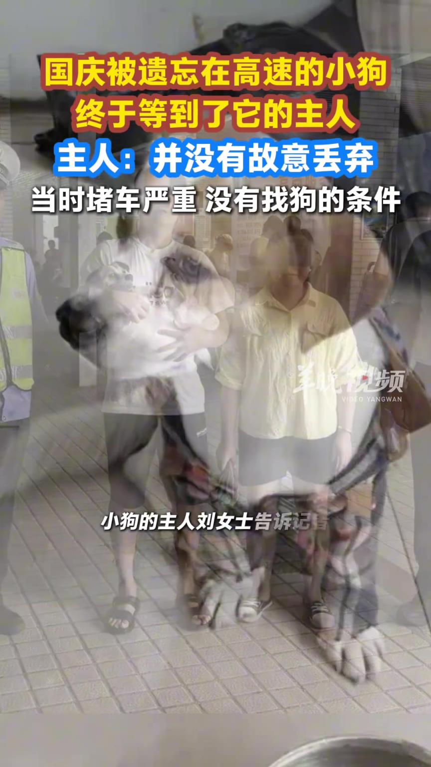 国庆被遗忘在高速的小狗终于等到了它的主人！