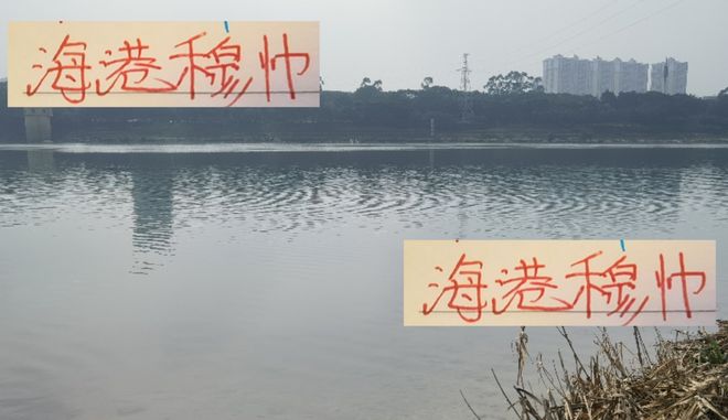 有点不理解！海港穆帅年度教练没资格 月度最佳反而不停给