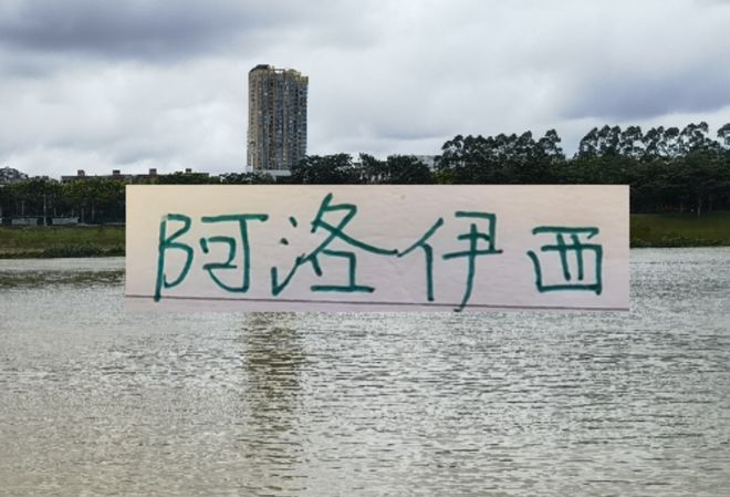 阿洛伊西要打富裕仗了！手握米神跟小王两王牌 再加海港夺冠经历