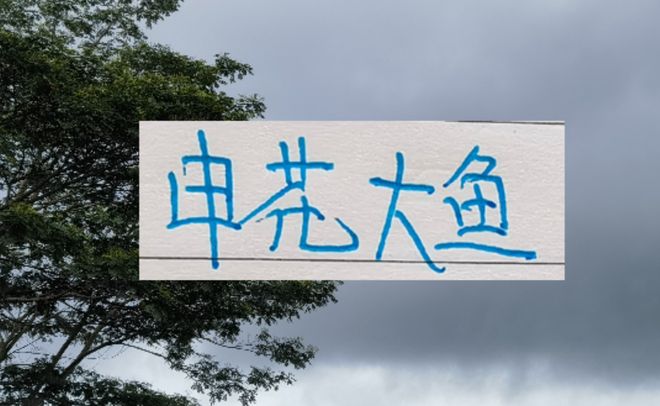 申花跟浙江大鱼都上岸了！ 就差海港 他们的了