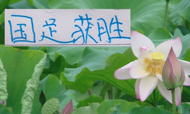 不容易呀 国足赢球啦！申花买新外援还在谈判 切尔西换帅马上大胜