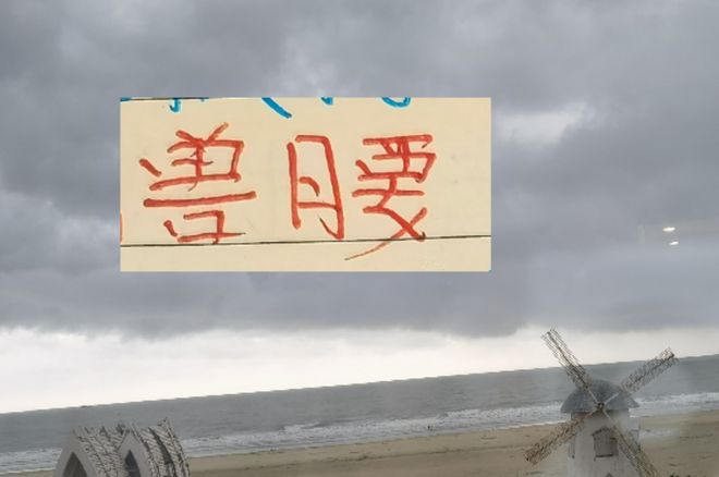 申花的宿敌都在补腰！海港拿下多哥国脚 深圳引进大鱼周定洋