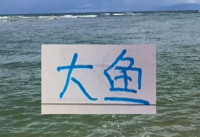 没想到！李昊屡献神扑让他成为大鱼 就中超看豪门谁能出手