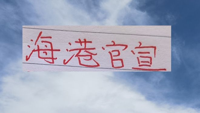 海港官宣四大高手加盟！申花1米95大鱼的祖国拿下非洲杯冠军