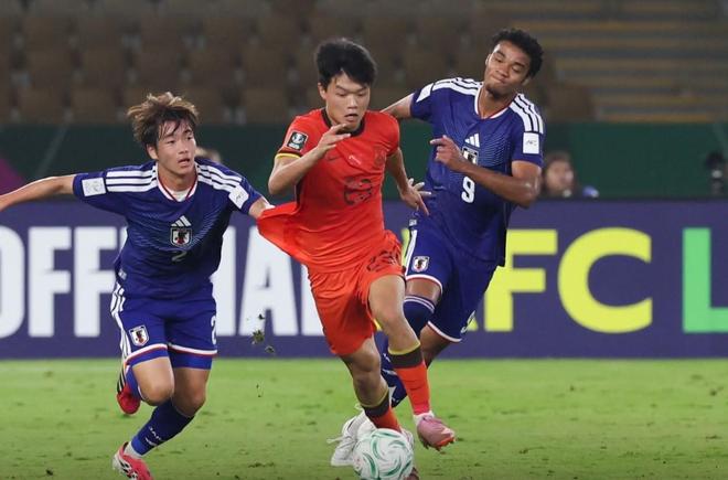 杨希：这一路我们创造了历史，虽有遗憾，但无愧于心