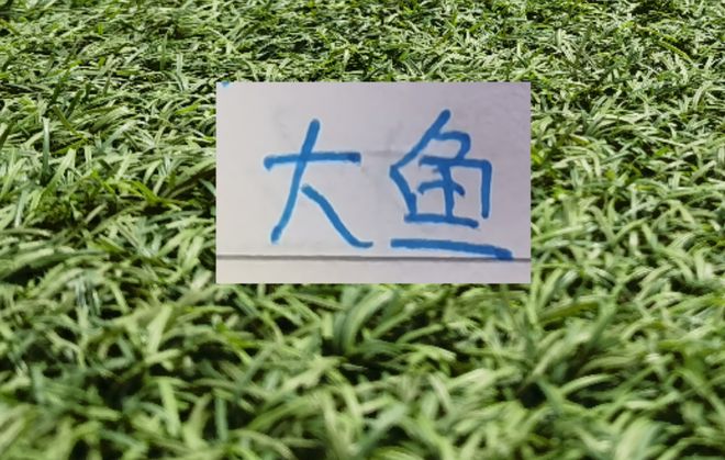 U23亚洲杯后 去年中超拦截王杨希 最终会去哪里