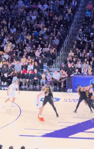 很硬！东契奇强突兰代尔 顶着阿尔达马拉杆上篮命中！