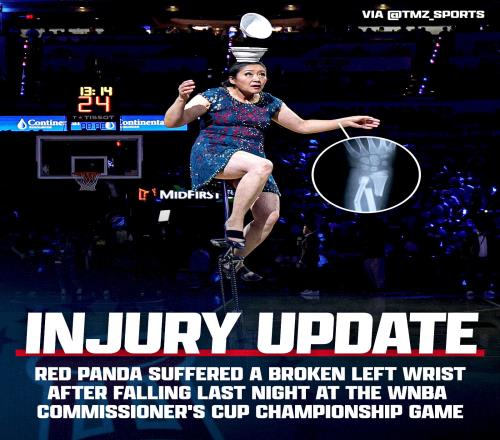 顶碗大妈声明：独轮车踏板运输受损左手腕严重骨折