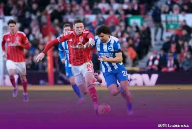 英超第13轮诺丁汉森林0-2布莱顿 布莱顿积22分暂升第4