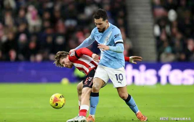 英超第19轮综述：传统强队集体“刹车” 埃弗顿奏凯成分水岭