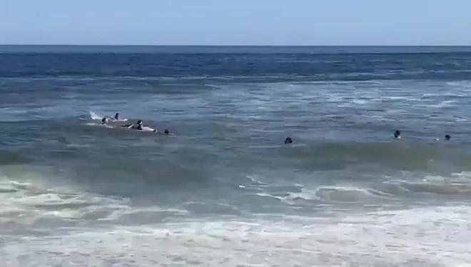 太阳报：德米凯利斯带孩子游泳时遇到洋流，在路人帮助下获救