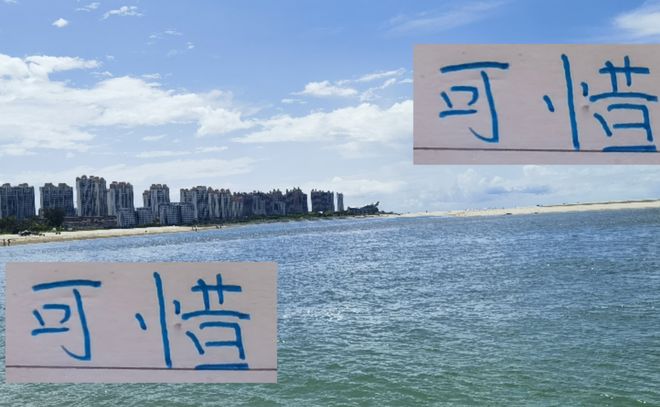 可惜！海港红 申花蓝 明年没有办法 一年四次见面了