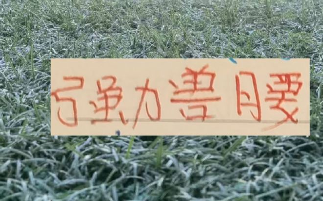 中超前4的后腰 反而申花是国产的兽腰 其他球队都是洋货