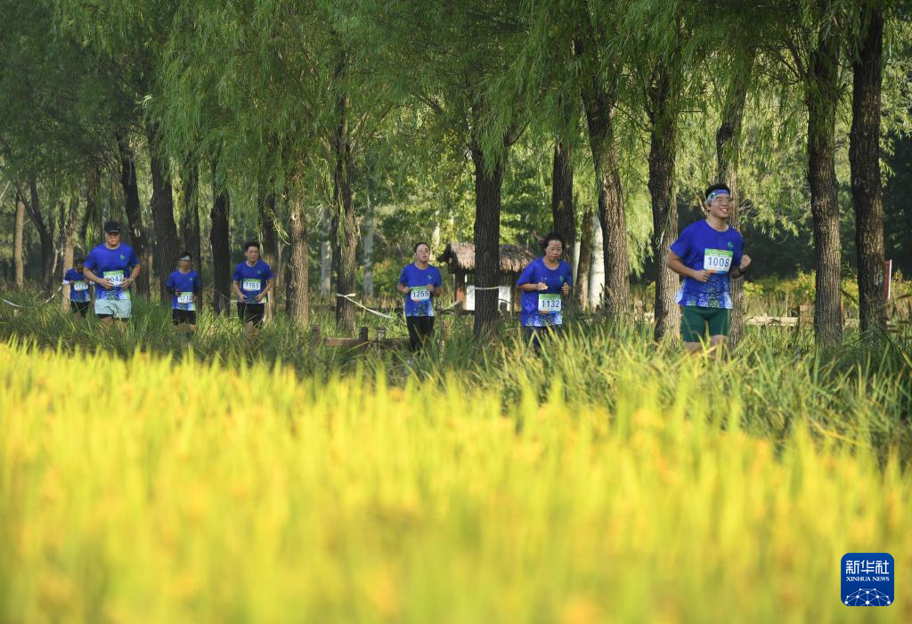 欢乐长跑 乐享秋日